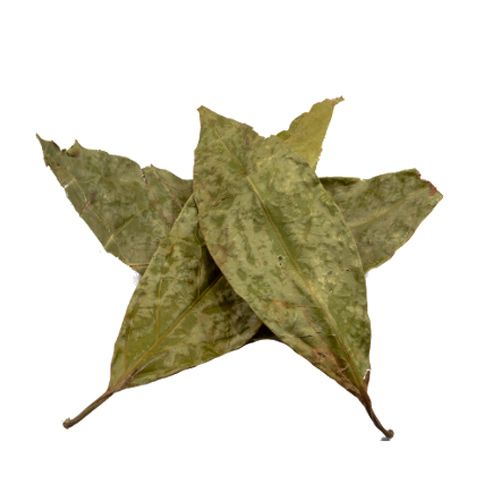 Diplopterys cabrerana (chaliponga) Blätter
